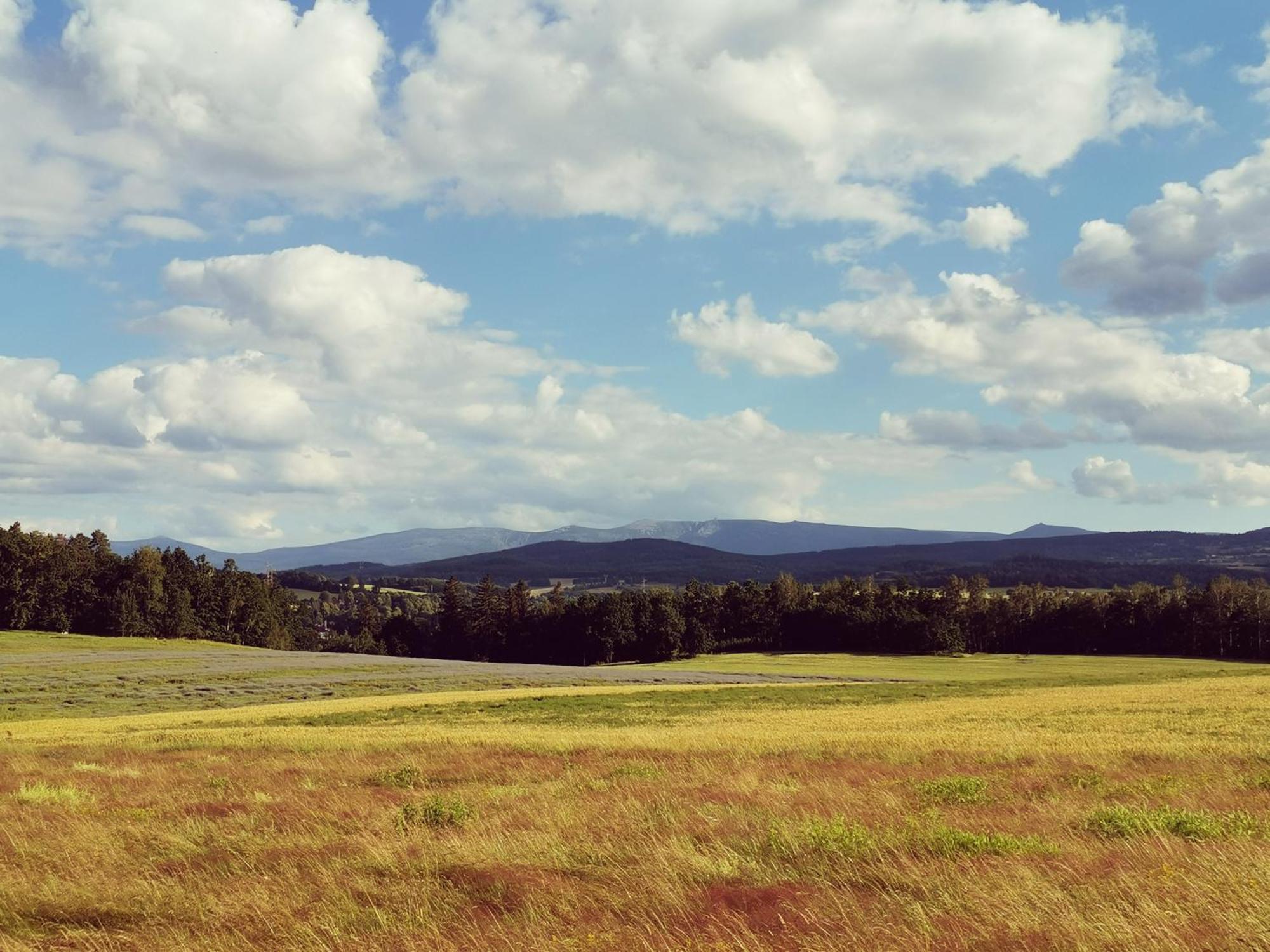 Agroturystyka U Swiatkow Stara Kamienica ภายนอก รูปภาพ