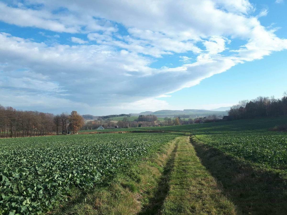 Agroturystyka U Swiatkow Stara Kamienica ภายนอก รูปภาพ