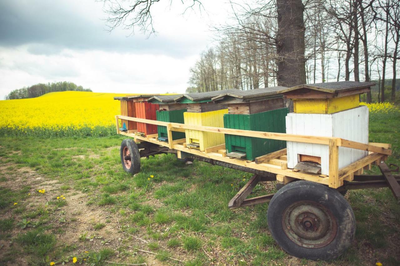 Agroturystyka U Swiatkow Stara Kamienica ภายนอก รูปภาพ